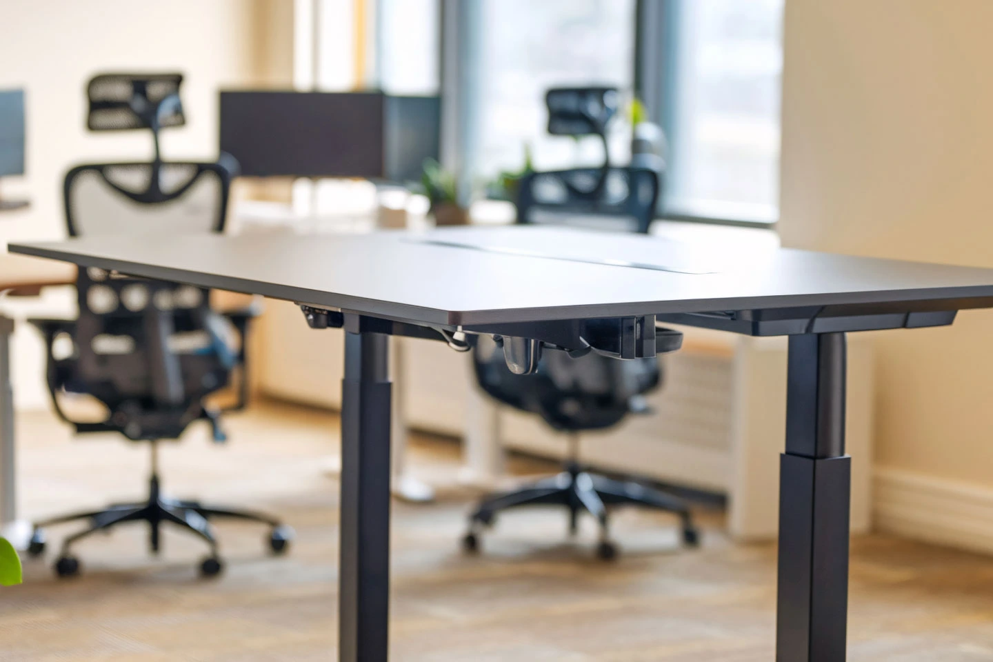 More Than Just Desks: The Fitness-First Office at BuzzWorks Elysium
